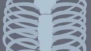X-ray-v4-300x300